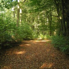 Hampshire Hotel - Mooi Veluwe фото 3