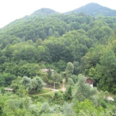 Отель Bedenski Bani Hotel Болгария, Чепеларе - отзывы, цены и фото номеров - забронировать отель Bedenski Bani Hotel онлайн фото 15