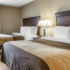 Comfort Inn & Suites near Tinley Park Amphitheater in Tinley Park, United States of America from 146$, photos, reviews - zenhotels.com guestroom