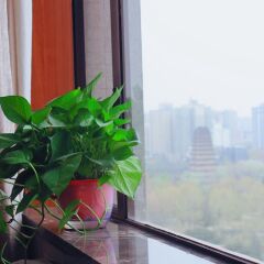 Xian Hotel балкон