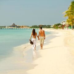 Отель Ocean Maya Royale Плайякар с домашними животными