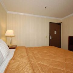Отель Quality Inn & Suites Los Angeles Airport - LAX сейф в номере
