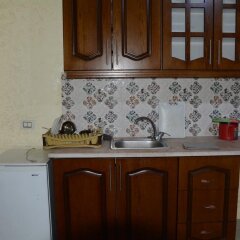 Отель Jasmine leaves furnished apartments Иордания, Амман - отзывы, цены и фото номеров - забронировать отель Jasmine leaves furnished apartments онлайн в номере фото 2