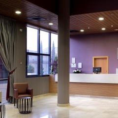 Отель Exe Sevilla Palmera Испания, Севилья - 3 отзыва об отеле, цены и фото номеров - забронировать отель Exe Sevilla Palmera онлайн интерьер отеля фото 3