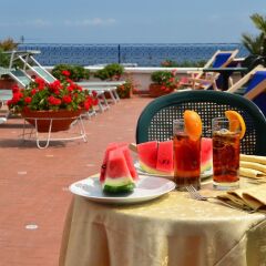 Hotel Bristol Terme с домашними животными