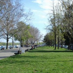 Отель Zlatnik Сербия, Белград - отзывы, цены и фото номеров - забронировать отель Zlatnik онлайн фото 2