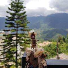 Check In Sapa Hostel and Coffee Шапа с домашними животными