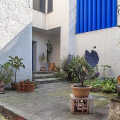 Отель Casa Habitación San Angel Мехико фото 2