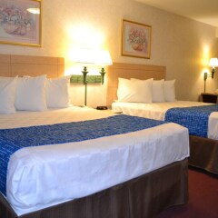 Отель Travelodge by Wyndham Niagara Falls США, Ниагара-Фолс - отзывы, цены и фото номеров - забронировать отель Travelodge by Wyndham Niagara Falls онлайн комната для гостей фото 3