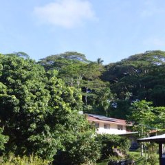 Atupa Orchid Units in Rarotonga, Cook Islands from 499$, photos, reviews - zenhotels.com balcony