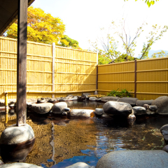 Отель Ryokan Yufuintei Хидзи бассейн фото 3