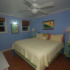 Отель San Cove, Blue Lagoon, Port Antonio 4BR детские мероприятия