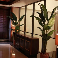 Hotel Lotus Минамиавадзи фитнесс-зал