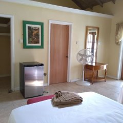 Mill House Guesthouse in Nevis, St. Kitts and Nevis from 157$, photos, reviews - zenhotels.com room amenities