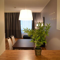 Отель Helsinki Airport Suites Финляндия, Вантаа - отзывы, цены и фото номеров - забронировать отель Helsinki Airport Suites онлайн комната для гостей фото 4