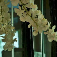 Отель Turim Alameda Hotel Португалия, Лиссабон - 1 отзыв об отеле, цены и фото номеров - забронировать отель Turim Alameda Hotel онлайн помещение для мероприятий