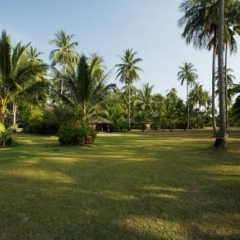 Отель Koyao Island Resort Таиланд, Яо Ной - отзывы, цены и фото номеров - забронировать отель Koyao Island Resort онлайн фото 9