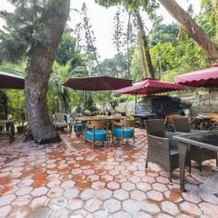 Отель Linhai Guest House Gulangyu Island Китай, Сямынь - отзывы, цены и фото номеров - забронировать отель Linhai Guest House Gulangyu Island онлайн фото 4