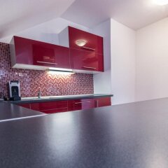 Апартаменты Centrum Apartments Podoli в номере