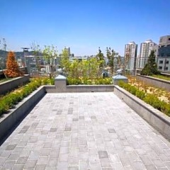 SEOUL N HOTEL Dongdaemun спортивное сооружение