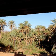 Отель Riad Tagmadart Ferme D'hôte Марокко, Загора - отзывы, цены и фото номеров - забронировать отель Riad Tagmadart Ferme D'hôte онлайн фото 6