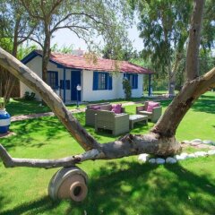 Отель Mavi Zeytin Butik Otel детские мероприятия