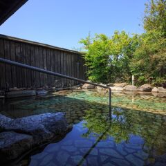 Отель Yufuin Ryokan Baien Хидзи фото 6