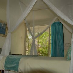 The Old House in Kasane, Botswana from 146$, photos, reviews - zenhotels.com guestroom