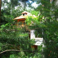Отель Guest Complex Sosny Светлогорск приотельная территория фото 2