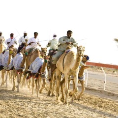 Отель Mercure Grand Jebel Hafeet Al Ain Hotel ОАЭ, Эль-Айн - отзывы, цены и фото номеров - забронировать отель Mercure Grand Jebel Hafeet Al Ain Hotel онлайн пляж фото 2