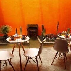 Отель Coyoacan-inn Guesthouse Мексика, Мехико - отзывы, цены и фото номеров - забронировать отель Coyoacan-inn Guesthouse онлайн фото 13