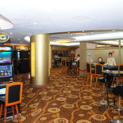 Palace Hotel развлечения