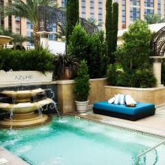 The Palazzo Resort Hotel Casino с домашними животными
