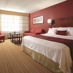 Отель Courtyard by Marriott Ottawa Downtown Канада, Оттава - отзывы, цены и фото номеров - забронировать отель Courtyard by Marriott Ottawa Downtown онлайн комната для гостей фото 4