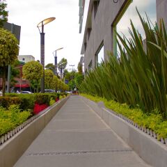 Hotel Novit фото 4