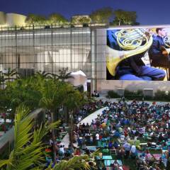 Отель Holiday Inn Miami Beach-Oceanfront детские мероприятия фото 2