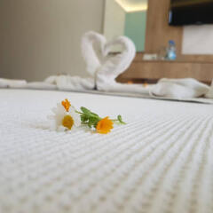 Tunacan Hotel в номере фото 2