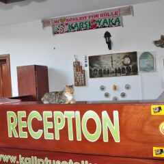 Kaliptus Hotel банкомат