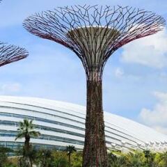 Отель Sheraton Towers Singapore фото 5