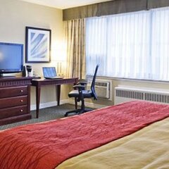 The Anndore House, part of JdV by Hyatt in Toronto, Canada from 375$, photos, reviews - zenhotels.com room amenities