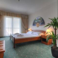 Hotel Rosina комната для гостей фото 3