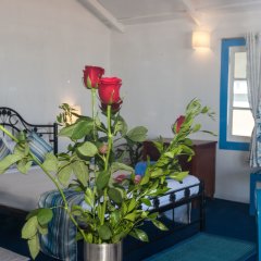 Отель Cuba Agonda Индия, Южный Гоа - отзывы, цены и фото номеров - забронировать отель Cuba Agonda онлайн комната для гостей