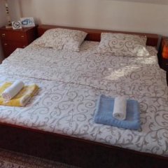 Sibalic Vila in Zabljak, Montenegro from 105$, photos, reviews - zenhotels.com guestroom