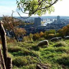 Отель Gite des Coteaux Льеж фото 13