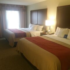 Отель Comfort Inn & Suites Little Rock Airport США, Литл-Рок - отзывы, цены и фото номеров - забронировать отель Comfort Inn & Suites Little Rock Airport онлайн комната для гостей фото 4