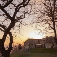 Отель Agriturismo I Poderi Кьянчиано Терме пляж фото 2
