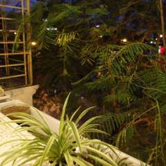 Отель Hanoi Lake View Homestay фото 5
