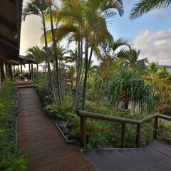 Отель Wananavu Beach Resort фото 15