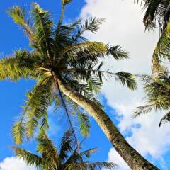 Отель Fiesta Resort Guam