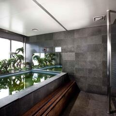 Отель ibis Styles Ambassador Seoul Myeongdong сауна
